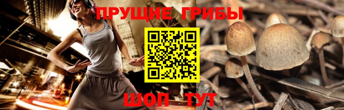 Псилоцибиновые грибы MAGIC MUSHROOMS Волжский