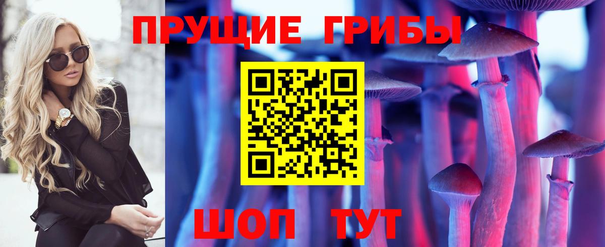 Галлюциногенные грибы Psilocybe  Вход с VPN  Волжский 